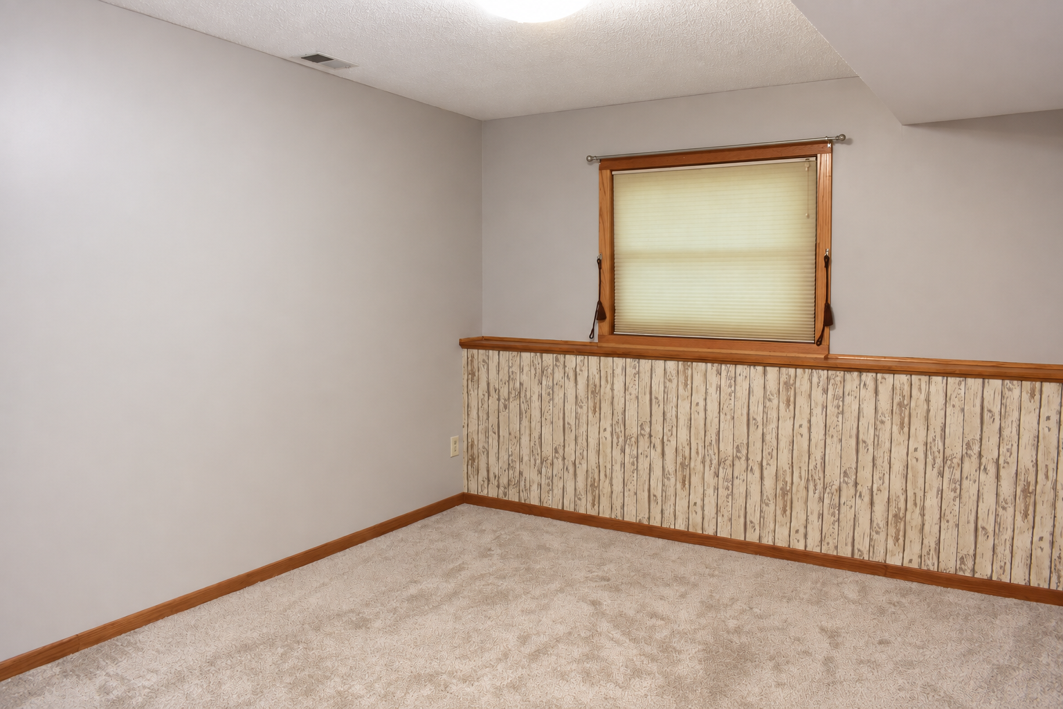 Lower level bedroom.png
