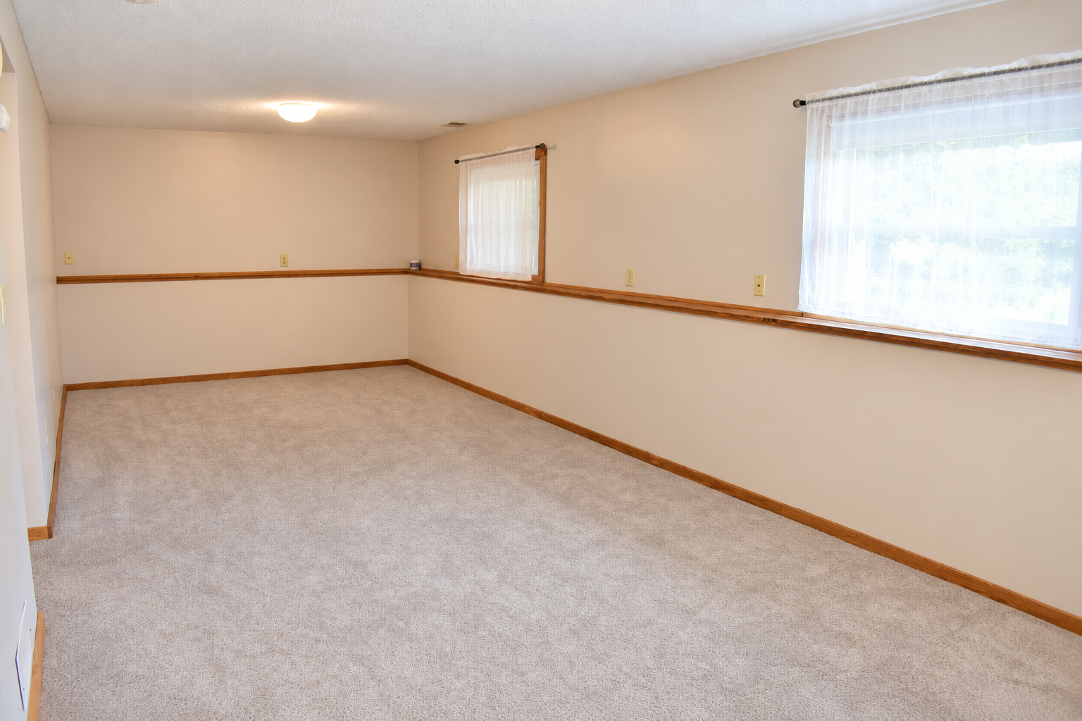 Lower level family room.png