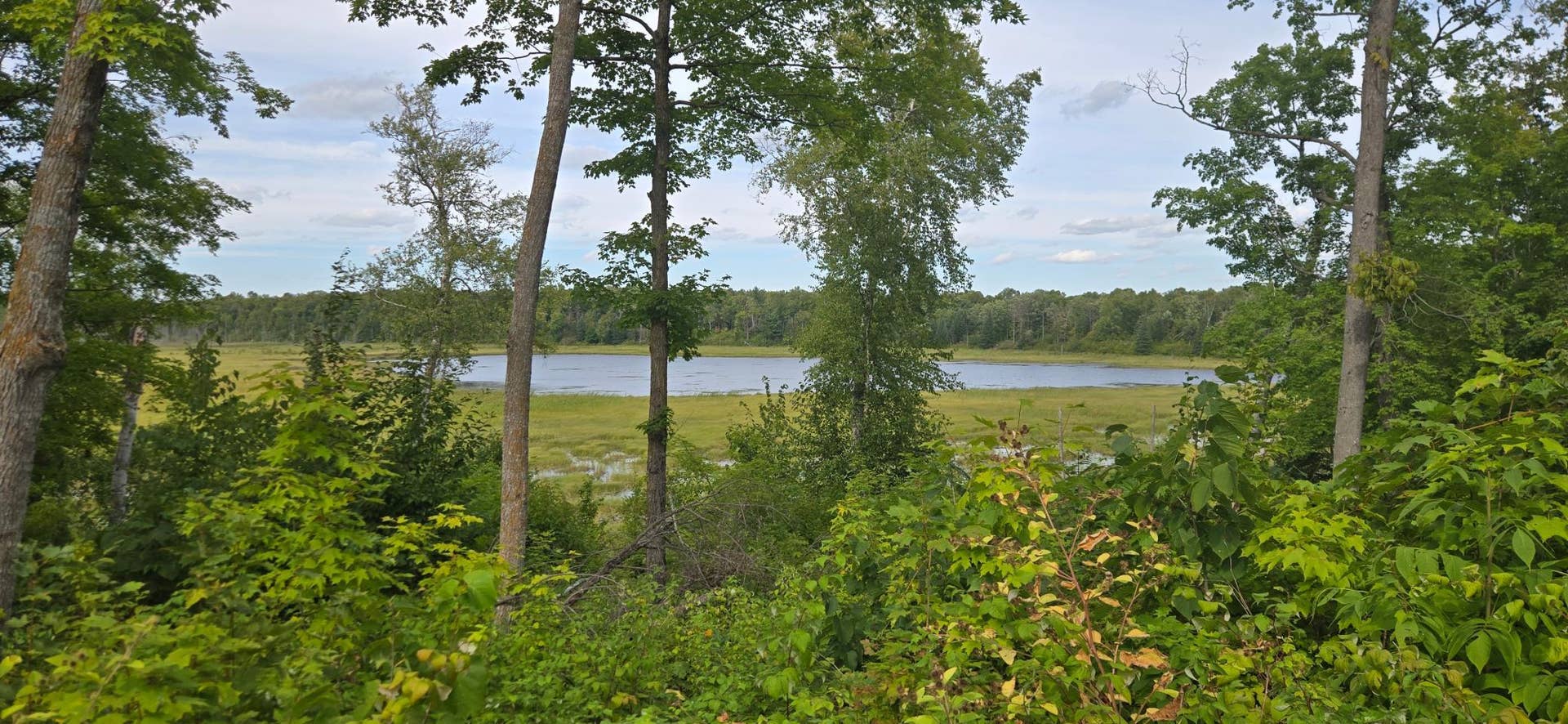 14647 Anjonabe Court SE, Bemidji, MN 56601 Chippewa National Forest View.jpg
