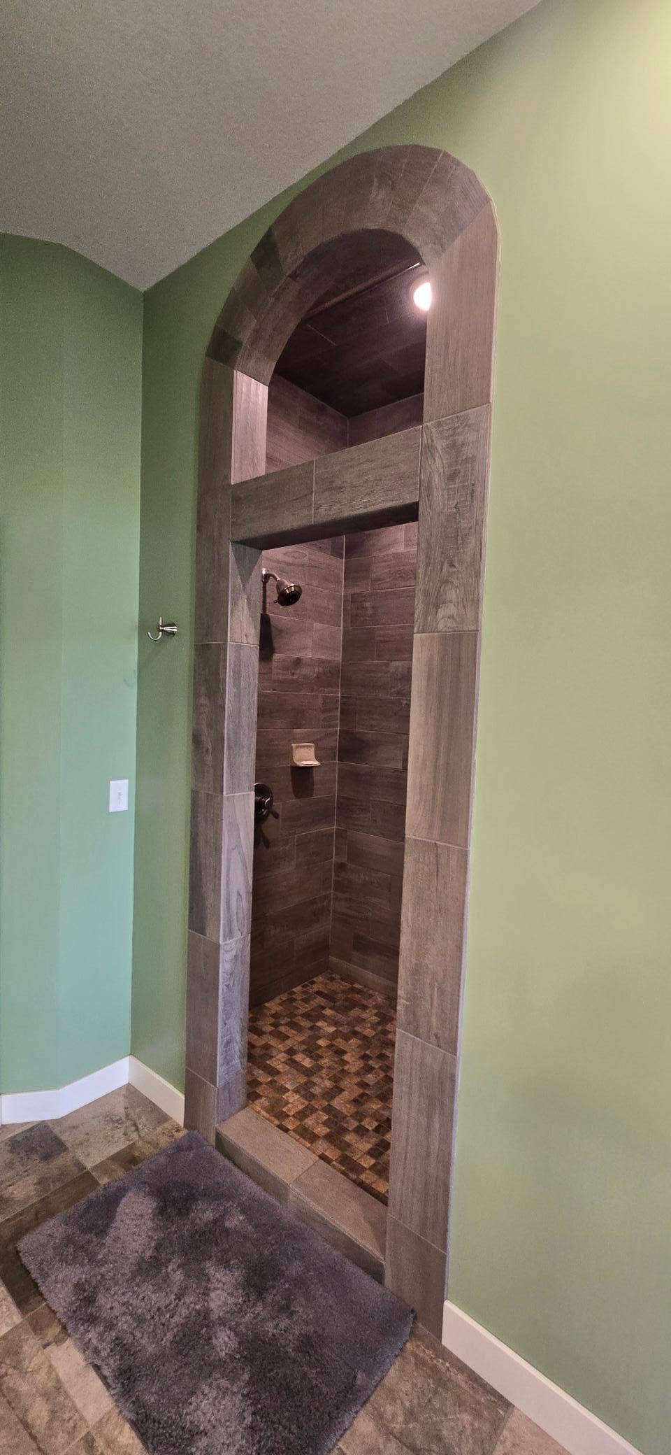 14647 Anjonabe Court SE, Bemidji, MN 56601 Walk-in Shower.jpg
