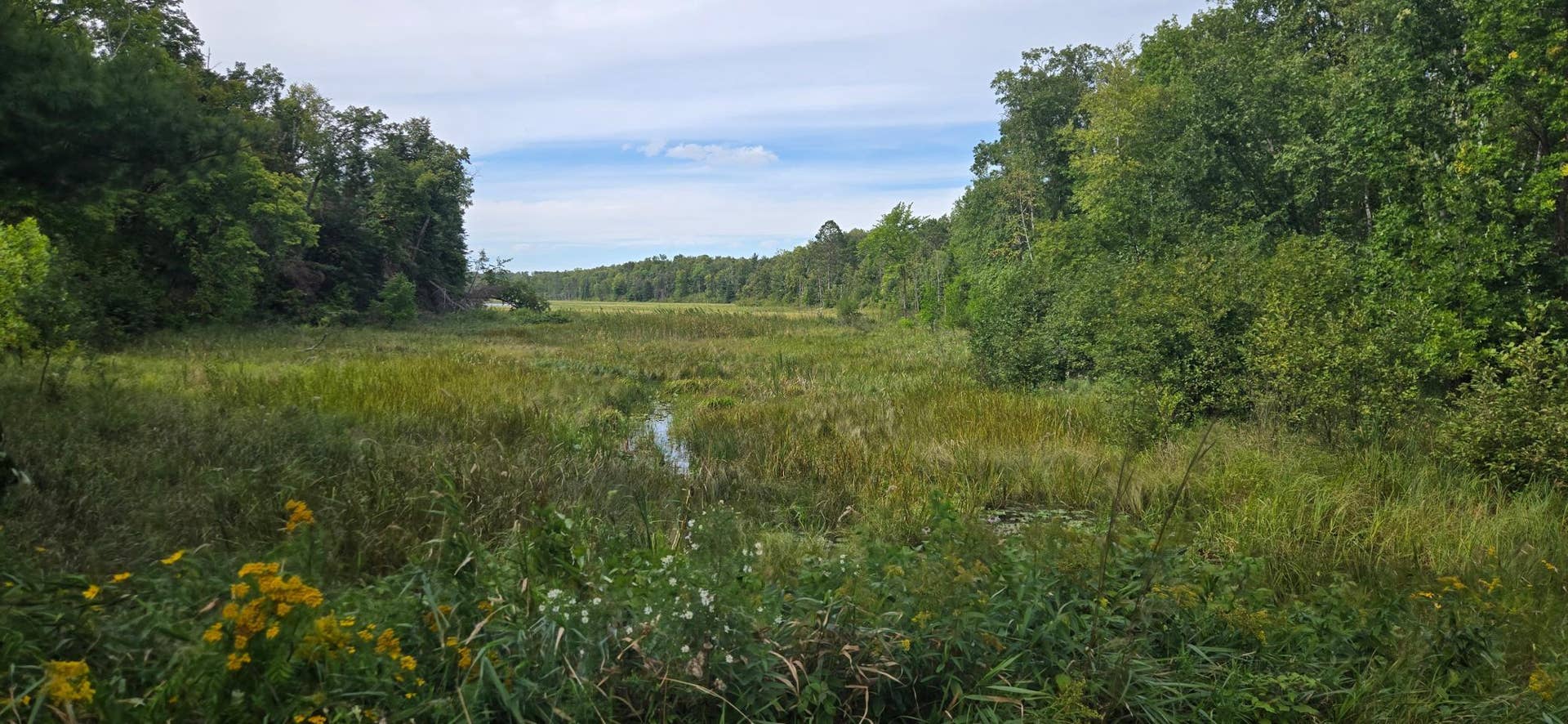 14647 Anjonabe Court SE, Bemidji, MN 56601 Shared Lot to Chippewa Ntl Forest.jpg