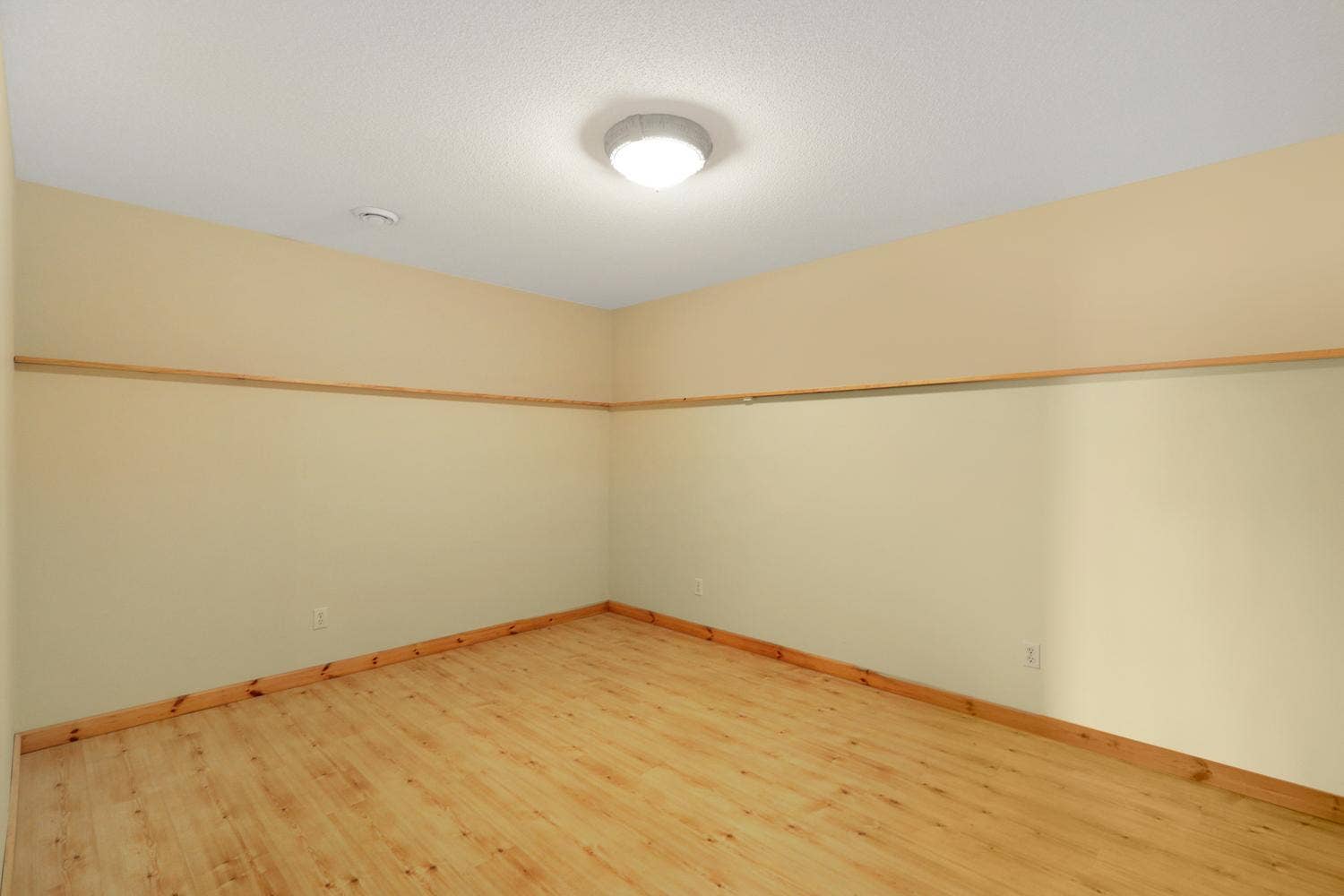 1001 Lakeshore Drive, Big Lake, MN 55309 Flex Room/Office-Lower Level