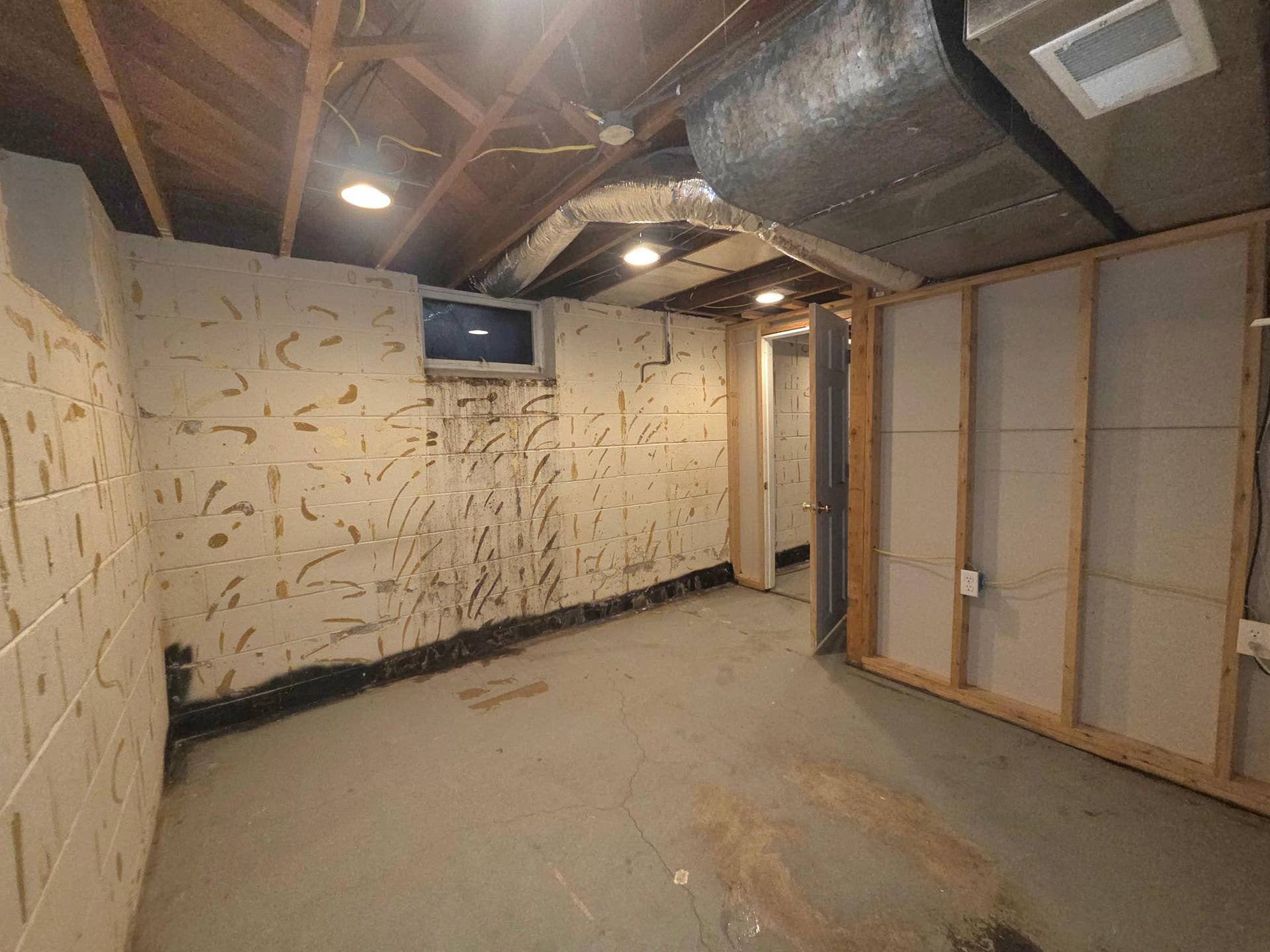 415 Adams Avenue, Edina, MN 55343 Unfinished basement storage room