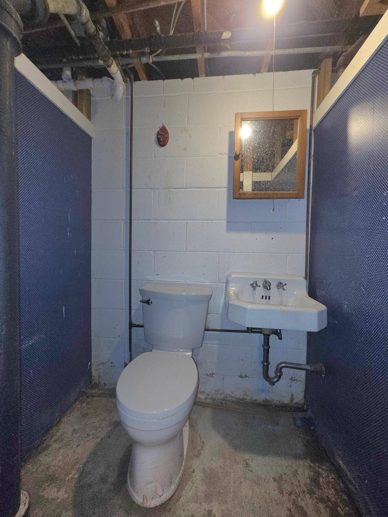 415 Adams Avenue, Edina, MN 55343 Basement toilet