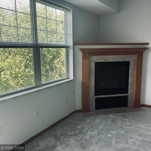 8341 Lyndale Avenue S, #419, Bloomington, MN 55420 Fireplace-view.jpeg