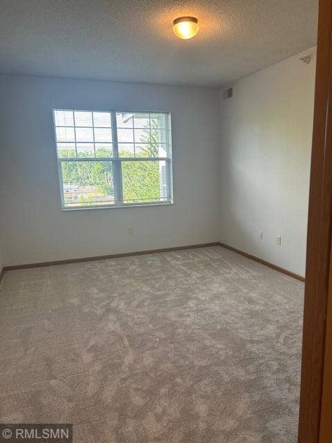 8341 Lyndale Avenue S, #419, Bloomington, MN 55420 Primary Bedroom