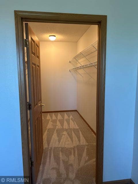 8341 Lyndale Avenue S, #419, Bloomington, MN 55420 Large walk-in closet in Primary Bedroom