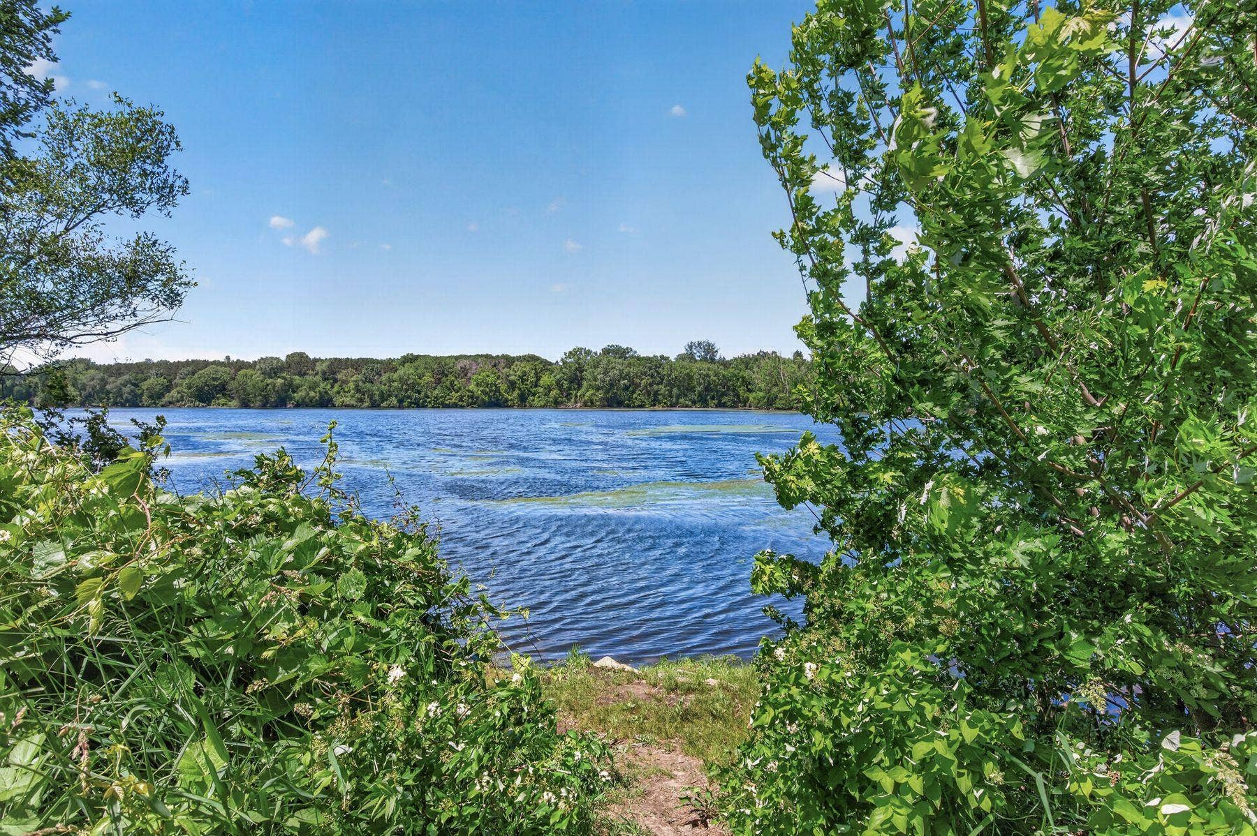 3034 Edgewater Drive, Woodbury, MN 55125 Backyard! Canoe or kayak or fish or paddle-board on Colby Lake