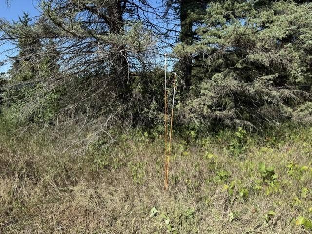 TBD 241st Ave, Stacy, MN 55079 approximate property line back of lot