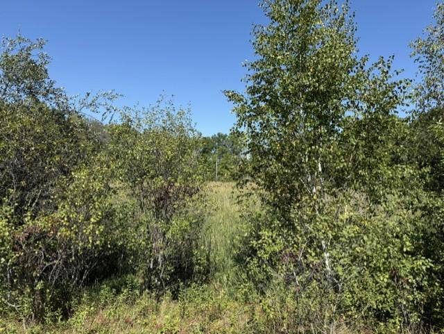TBD 241st Ave, Stacy, MN 55079 TBD 241st Ave, Stacy, MN 55079
