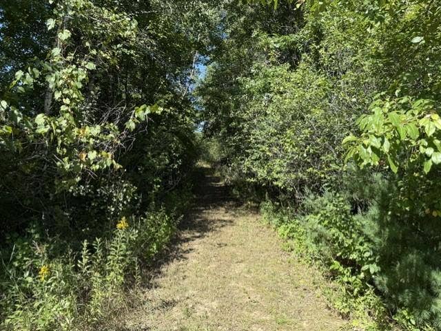 TBD 241st Ave, Stacy, MN 55079 TBD 241st Ave, Stacy, MN 55079