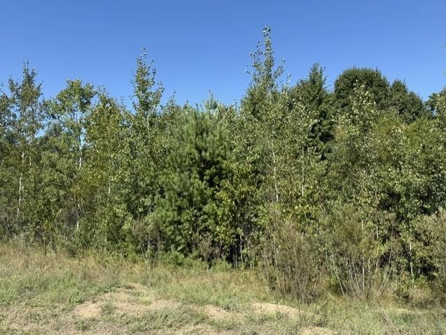 TBD 241st Ave, Stacy, MN 55079 TBD 241st Ave, Stacy, MN 55079