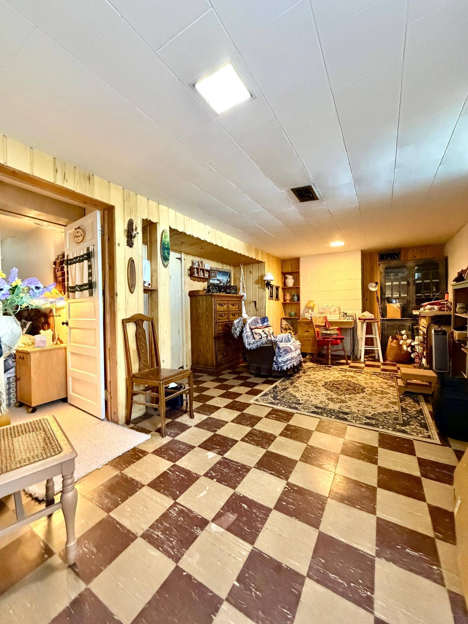 2001 S Lake Irving Drive SW, Bemidji, MN 56601 Lower level family room.jpg