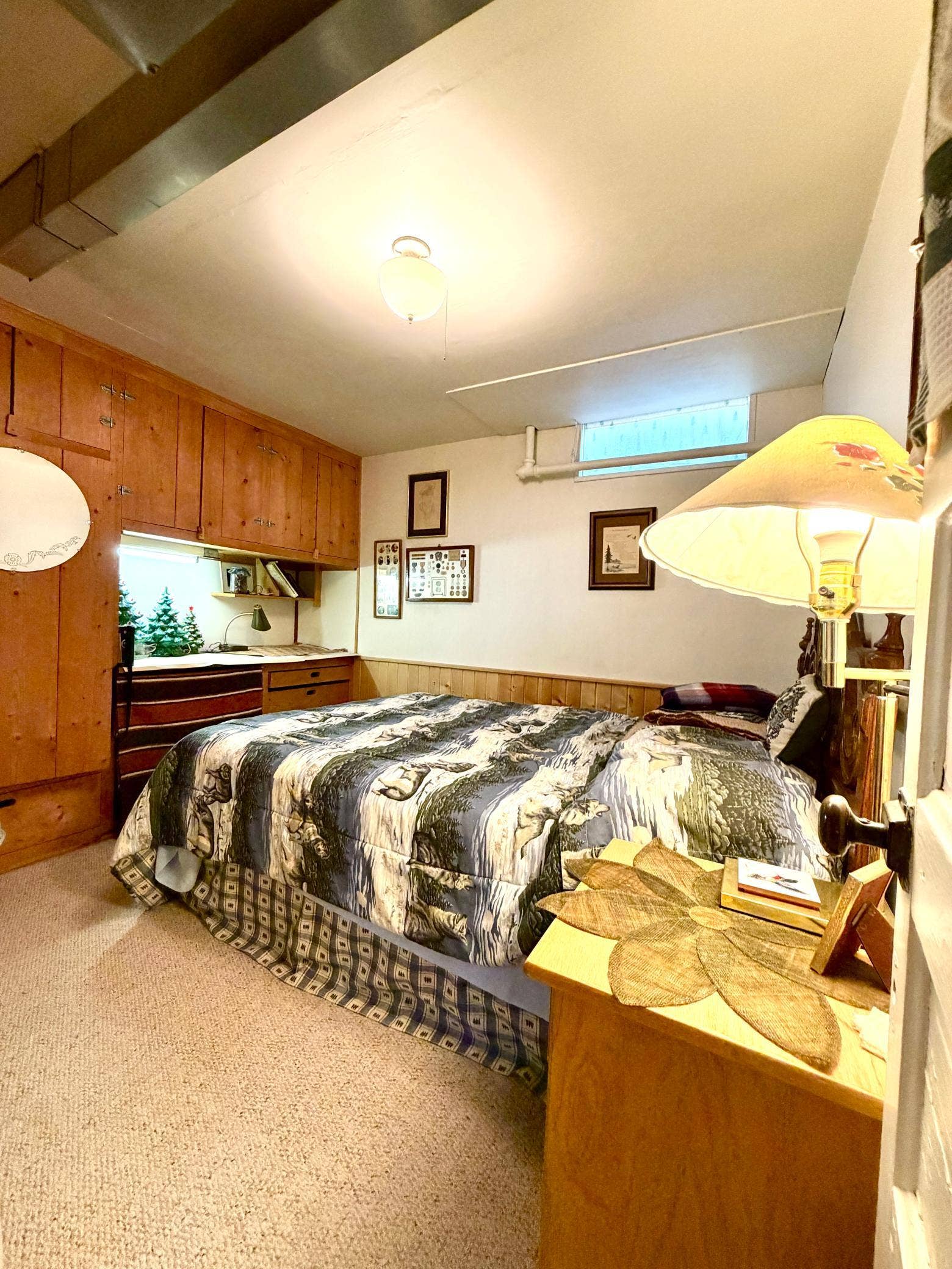2001 S Lake Irving Drive SW, Bemidji, MN 56601 Lower level spare room.jpg