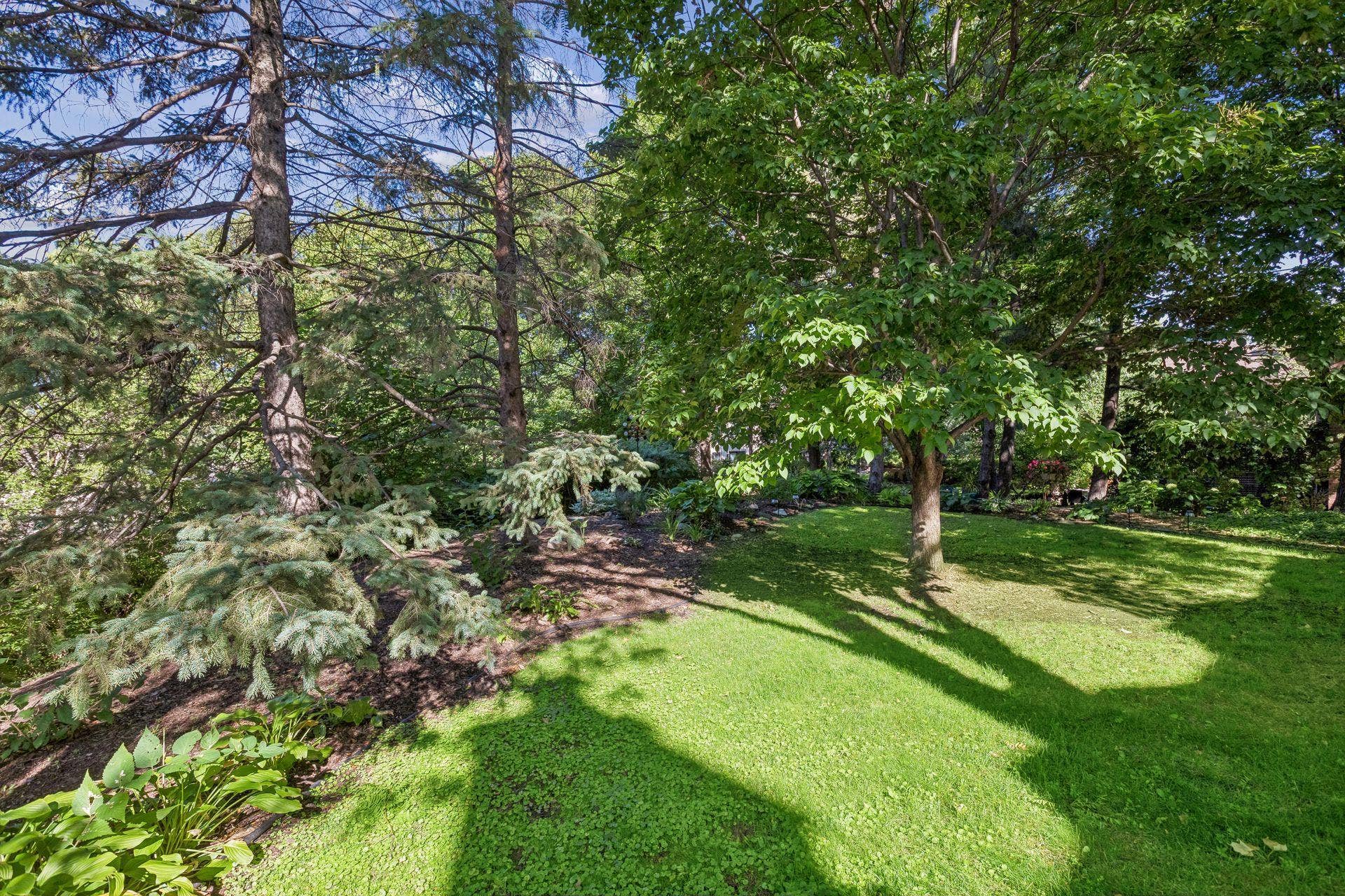 1952 Dupont Avenue S, 46, Minneapolis, MN 55403 Lush greenery that is an extension of the patio space.