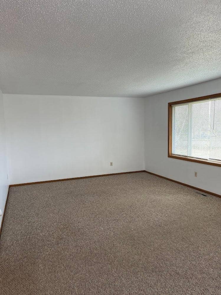 11931 Wintergreen St. NW, #1, Coon Rapids, MN 55448 11923-11931 Wintergreen picture 10.jpg