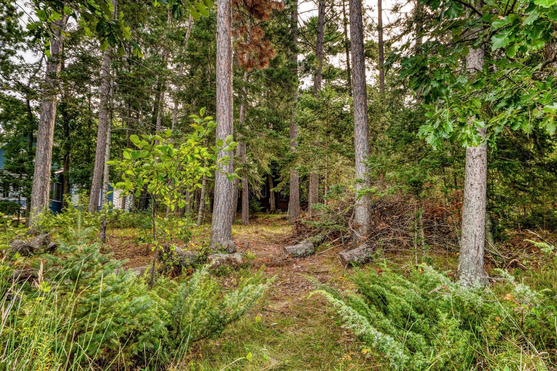 5907 Lavinia Road NE, Bemidji, MN 56601 PANA0074.jpg