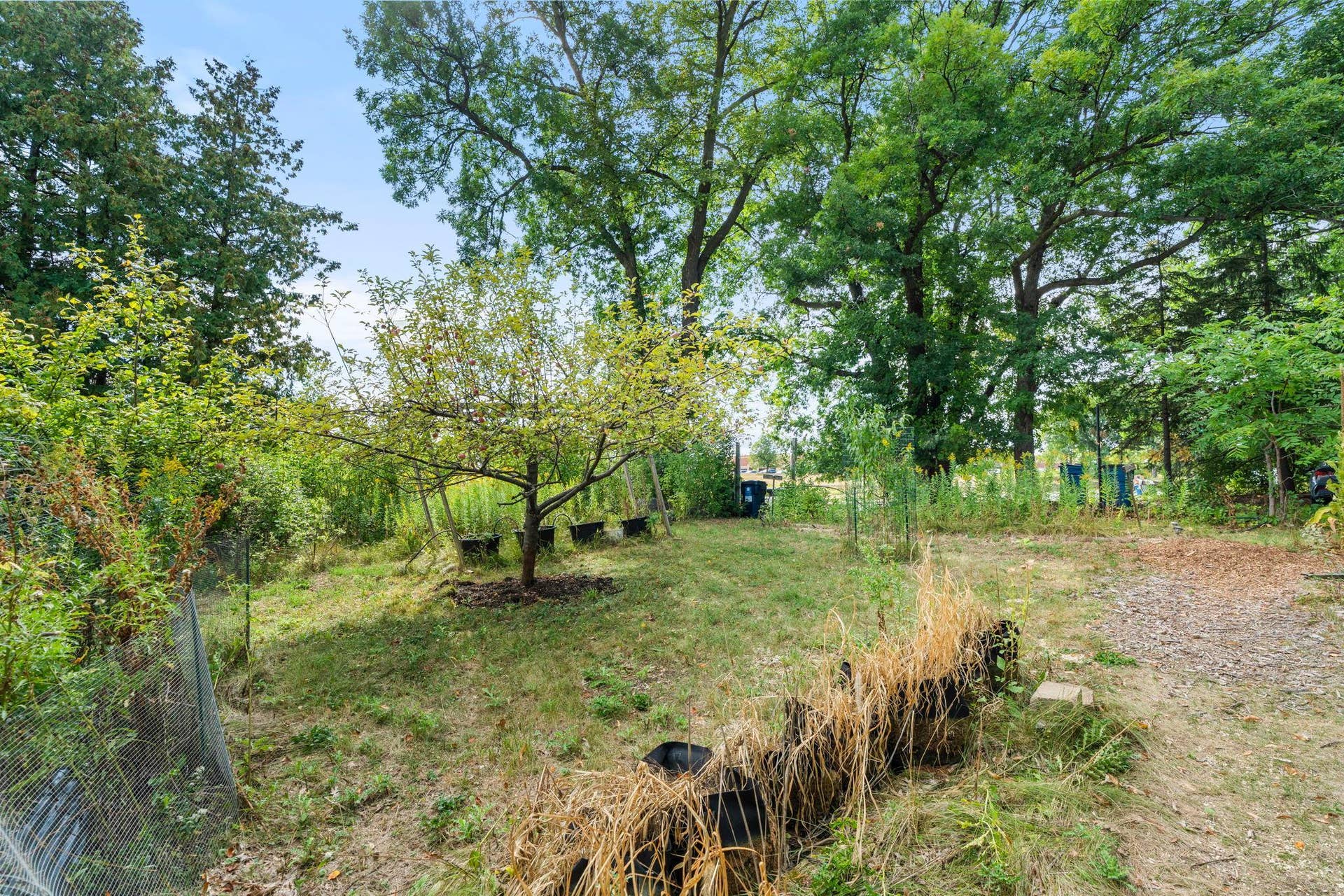 6824 E Fish Lake Road, Maple Grove, MN 55369 77-web-or-mls-6824 E Fish Lake Rd-381.jpg