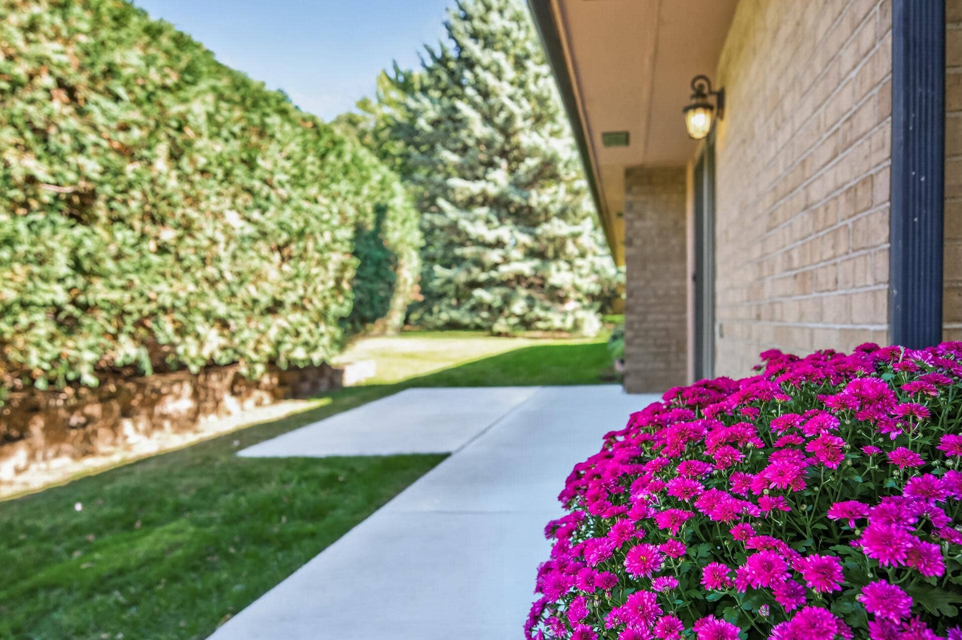2813 Robinwood Way, Woodbury, MN 55125 05_2813_Robinwood5_mls.jpg