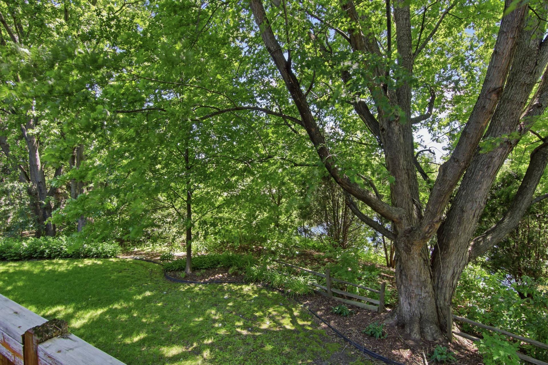 9953 Starlight Drive, Woodbury, MN 55125 9953 Starlight Drive, Woodbury, MN 55125
