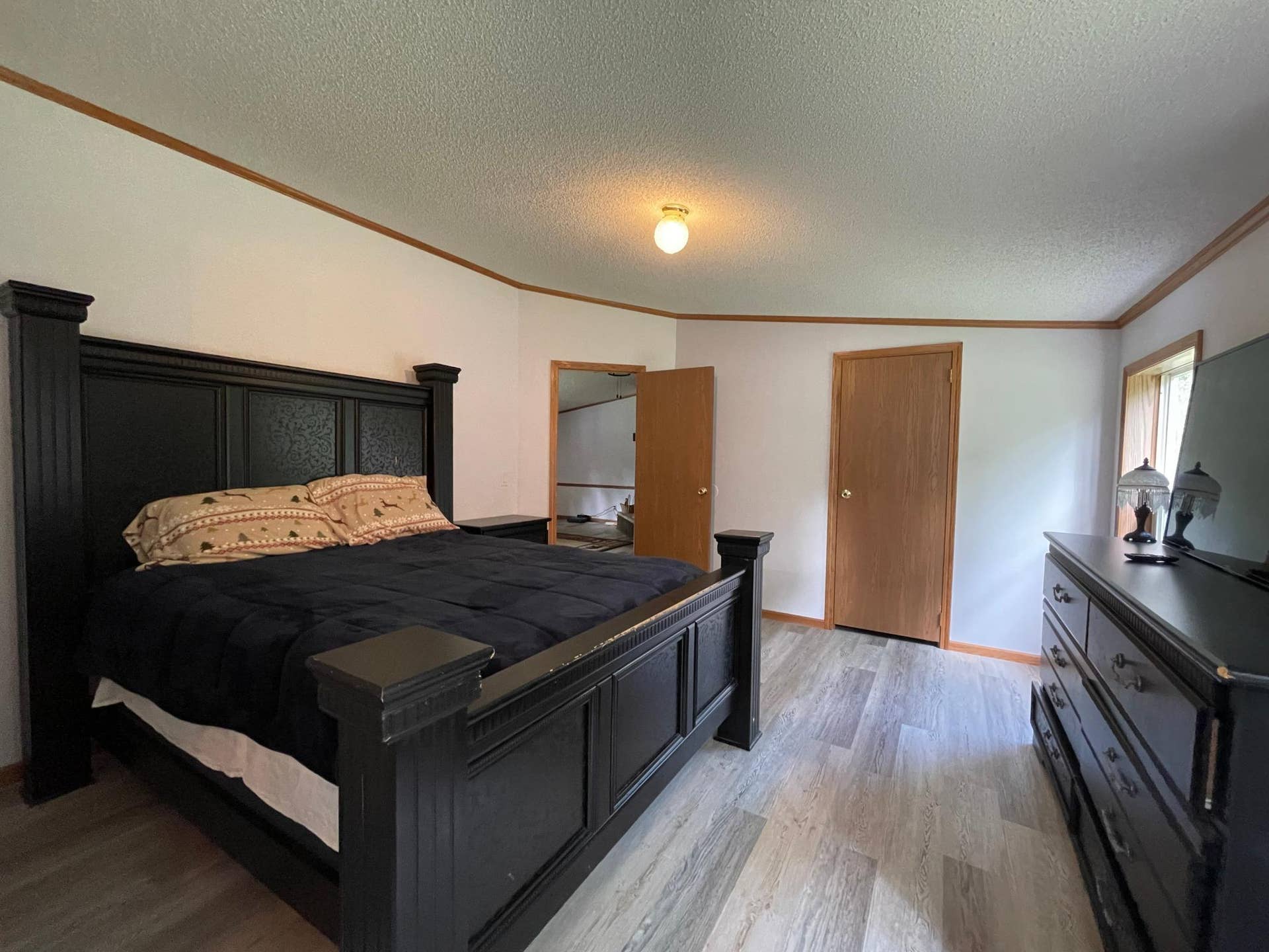 29453 Timberwolf Road NE, Pennington, MN 56663 ML16.jpeg