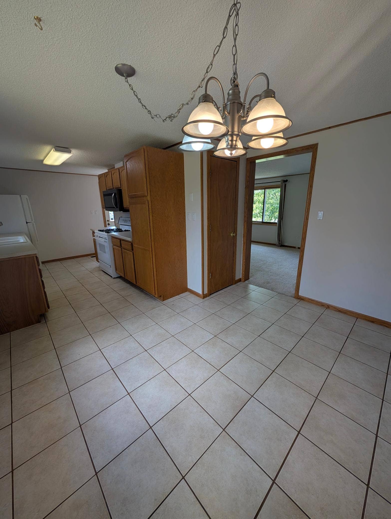 216 Stoner Avenue SE, Bemidji, MN 56601 PXL_20260909_183706848.jpg