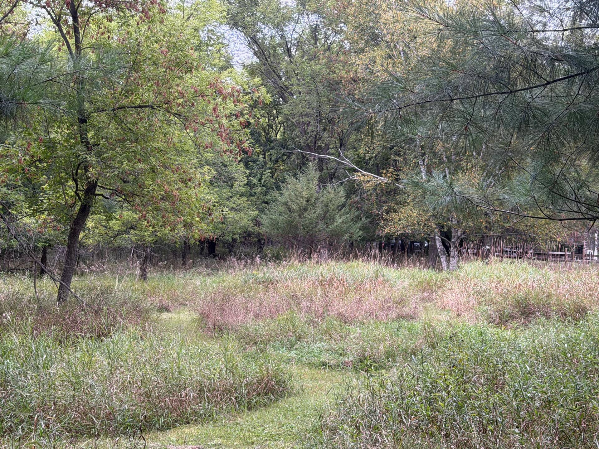 Ranch Land Trails