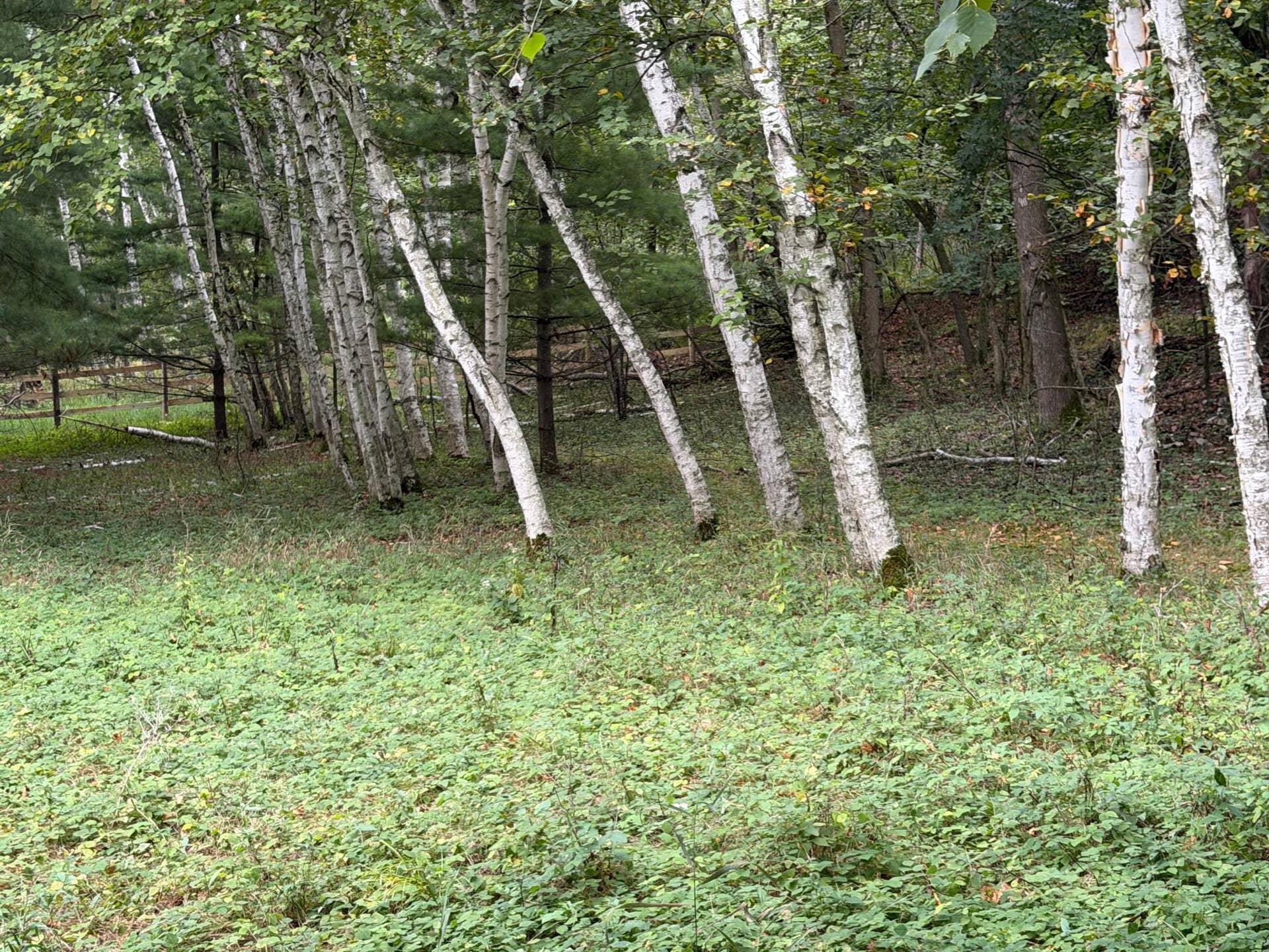 Ranch Land