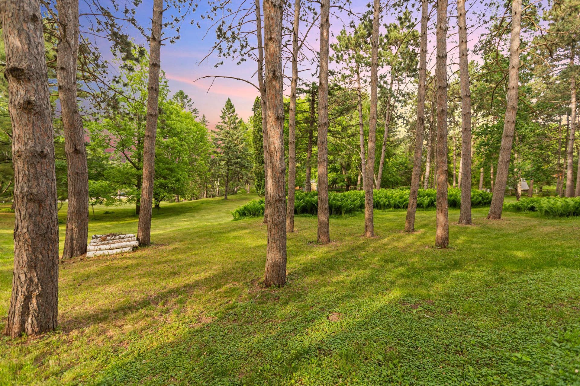 Front yard