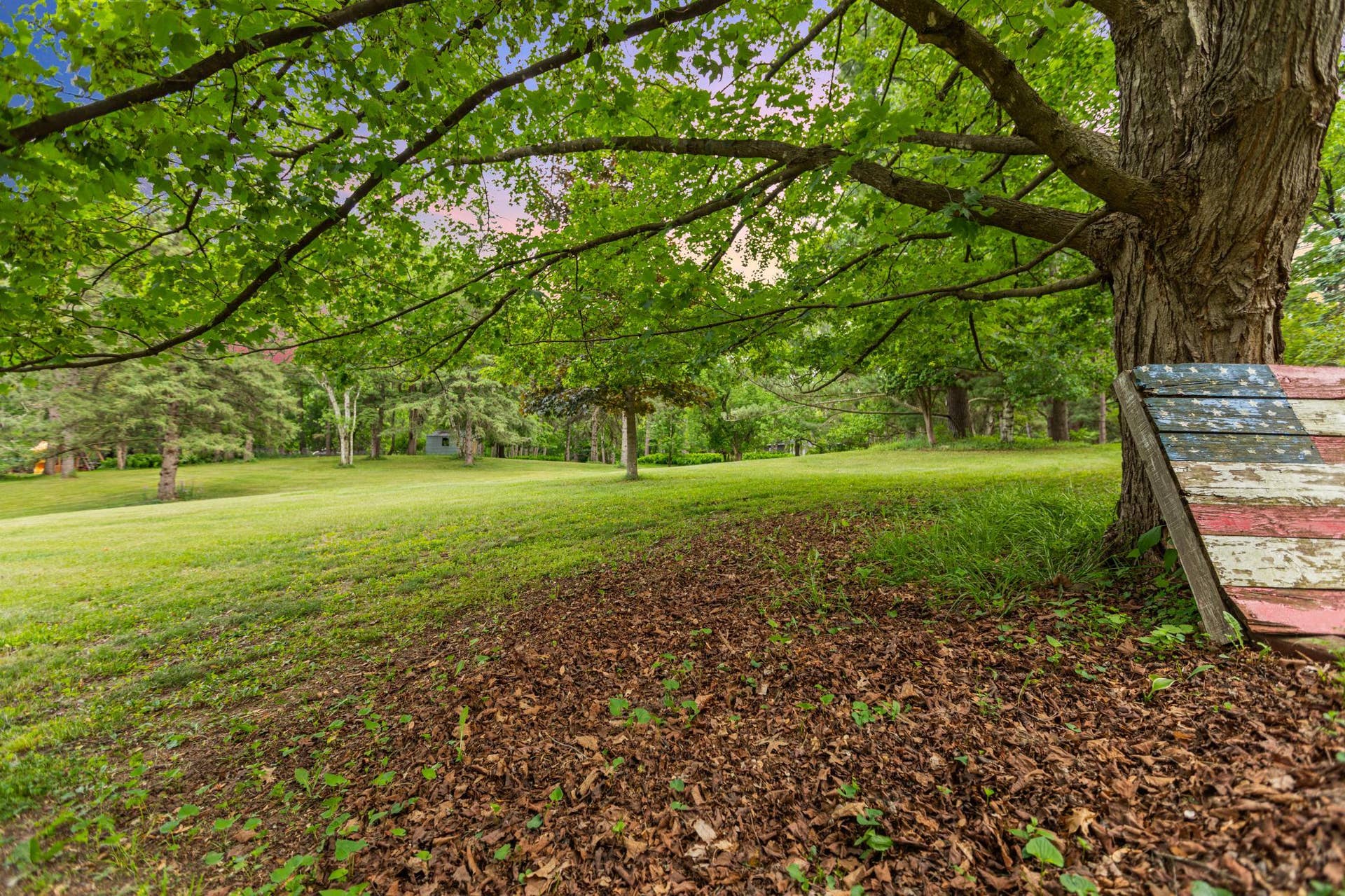 Front yard