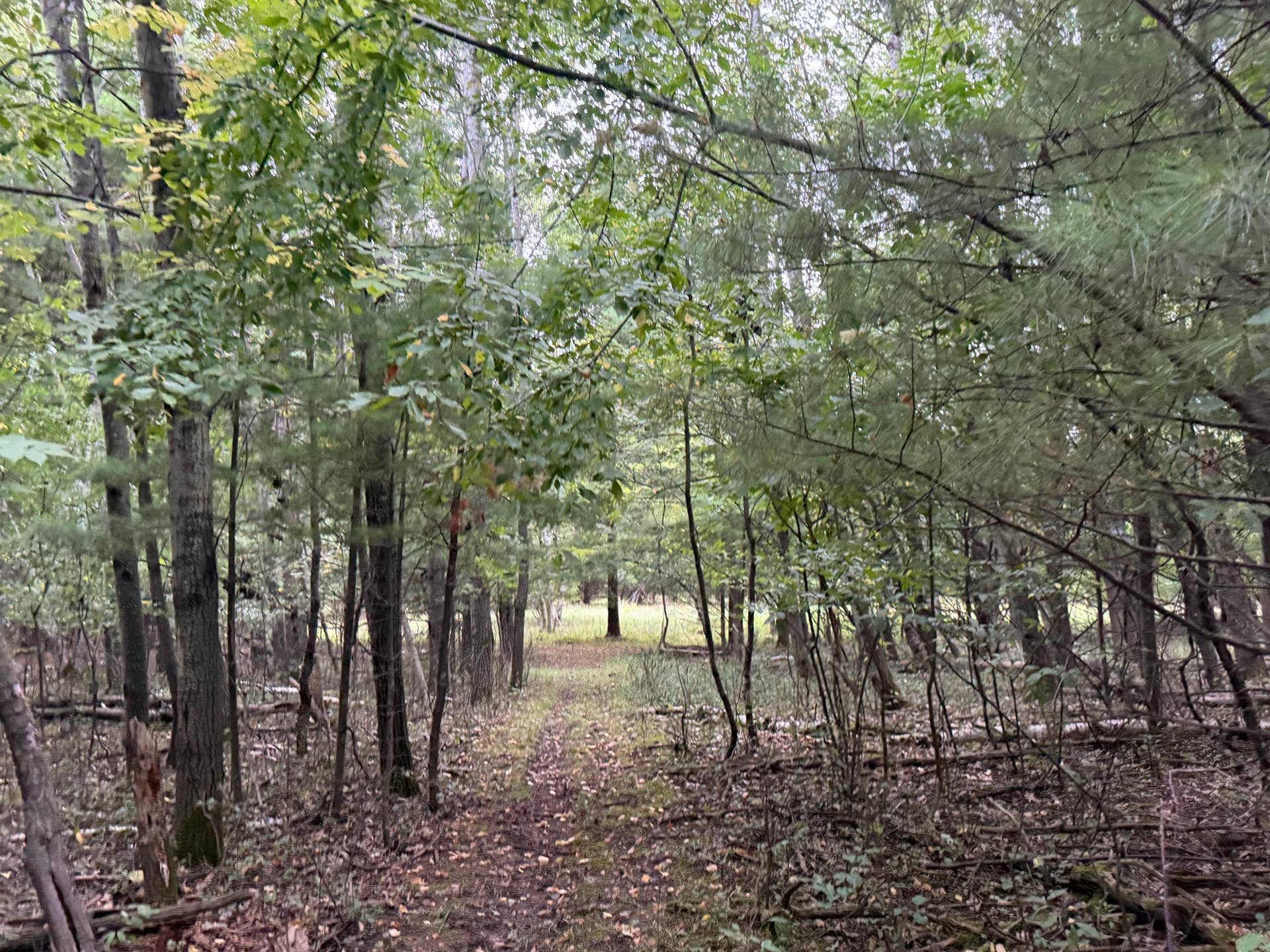 Ranch Land Trails