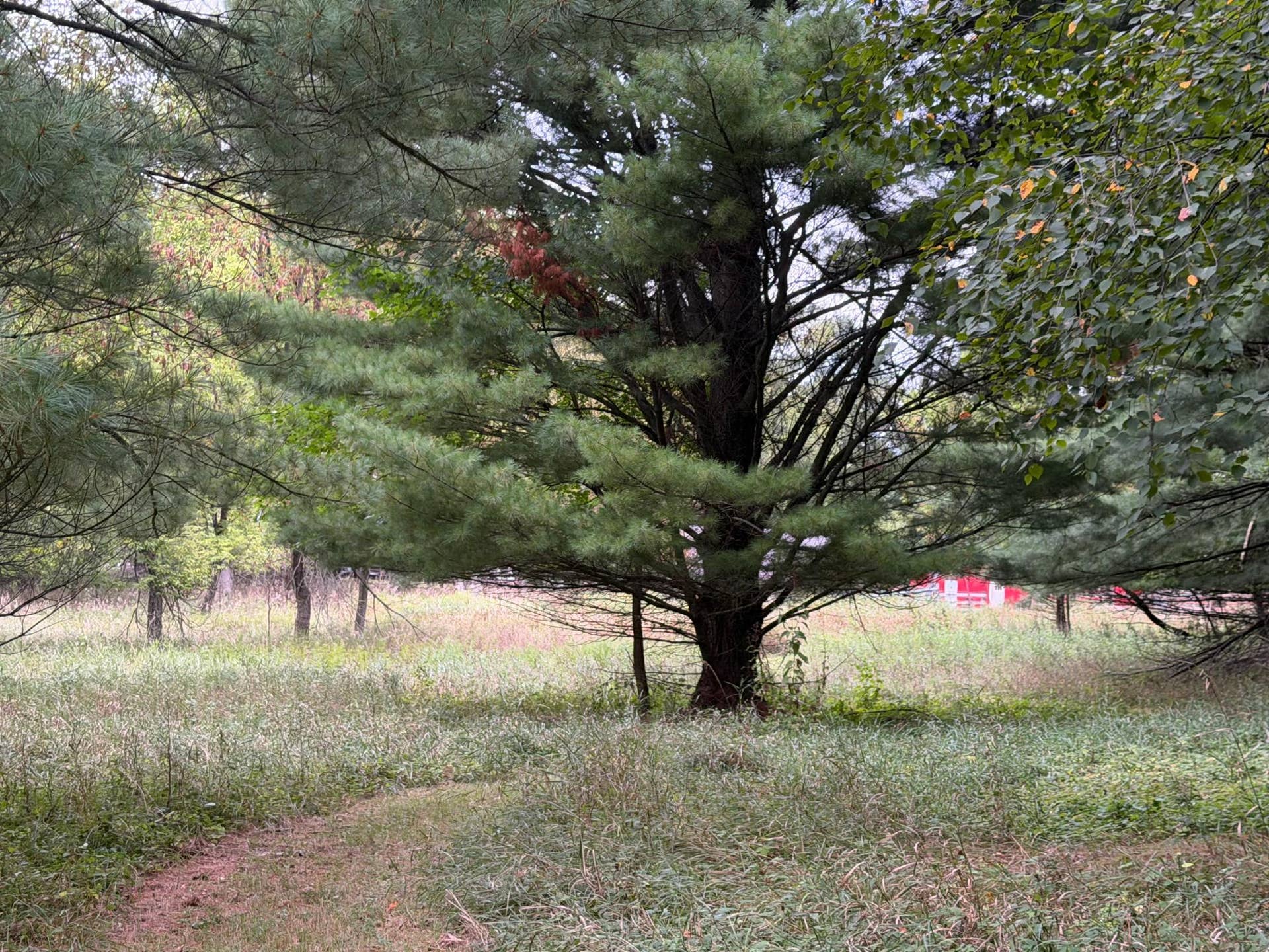 Ranch Land_Trails