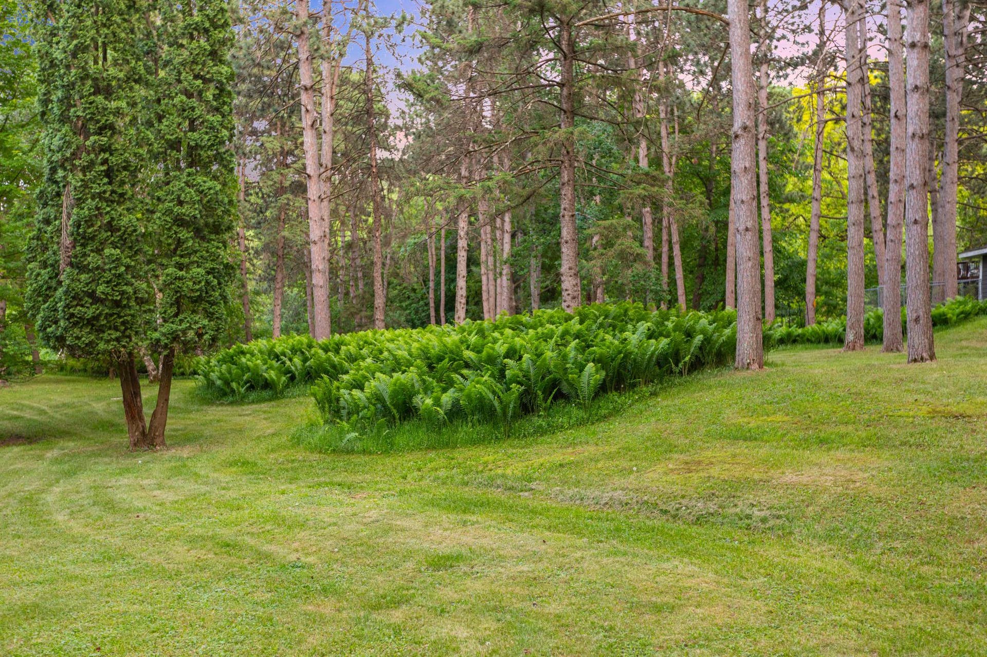 Front yard