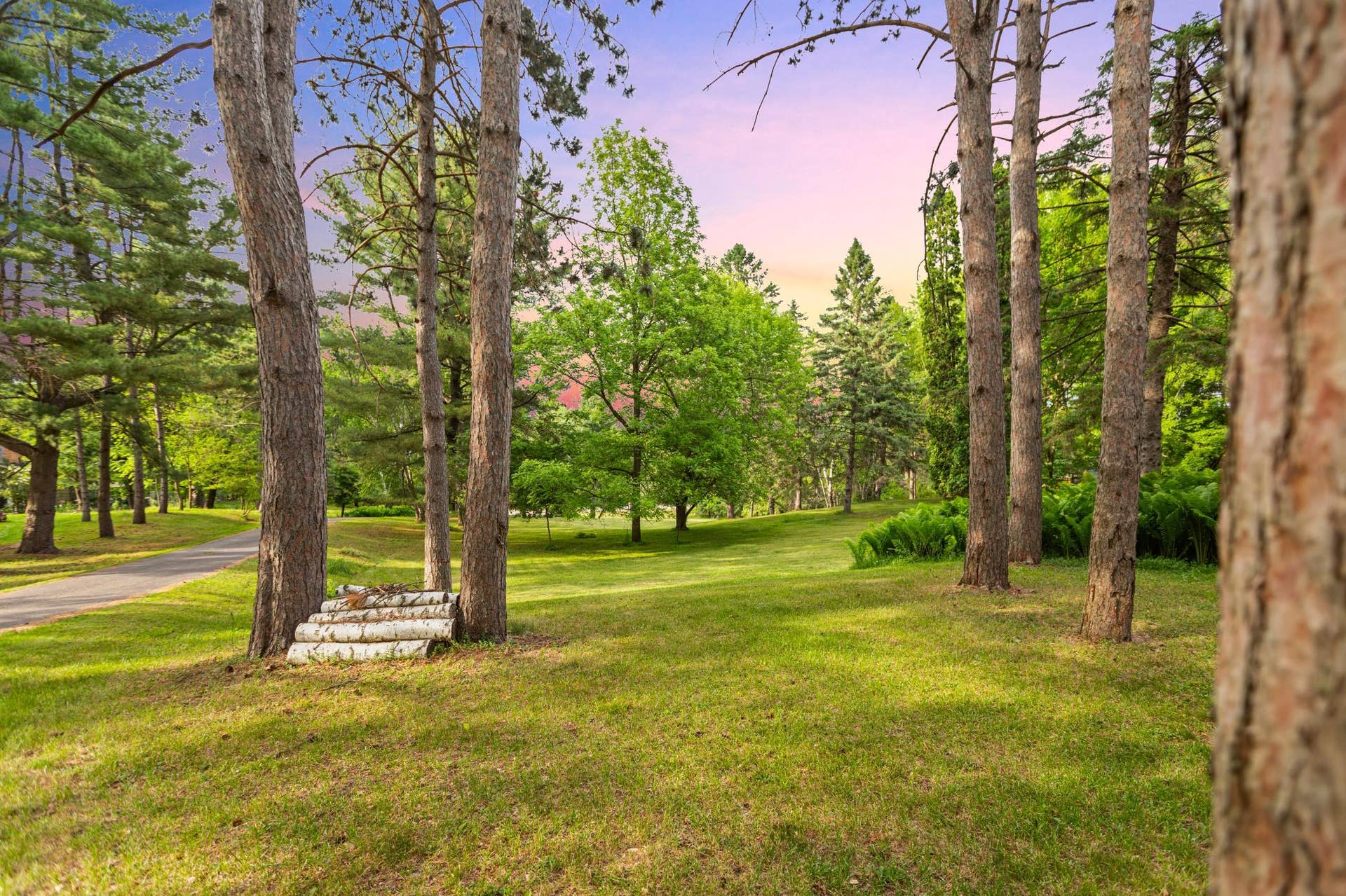 Front yard