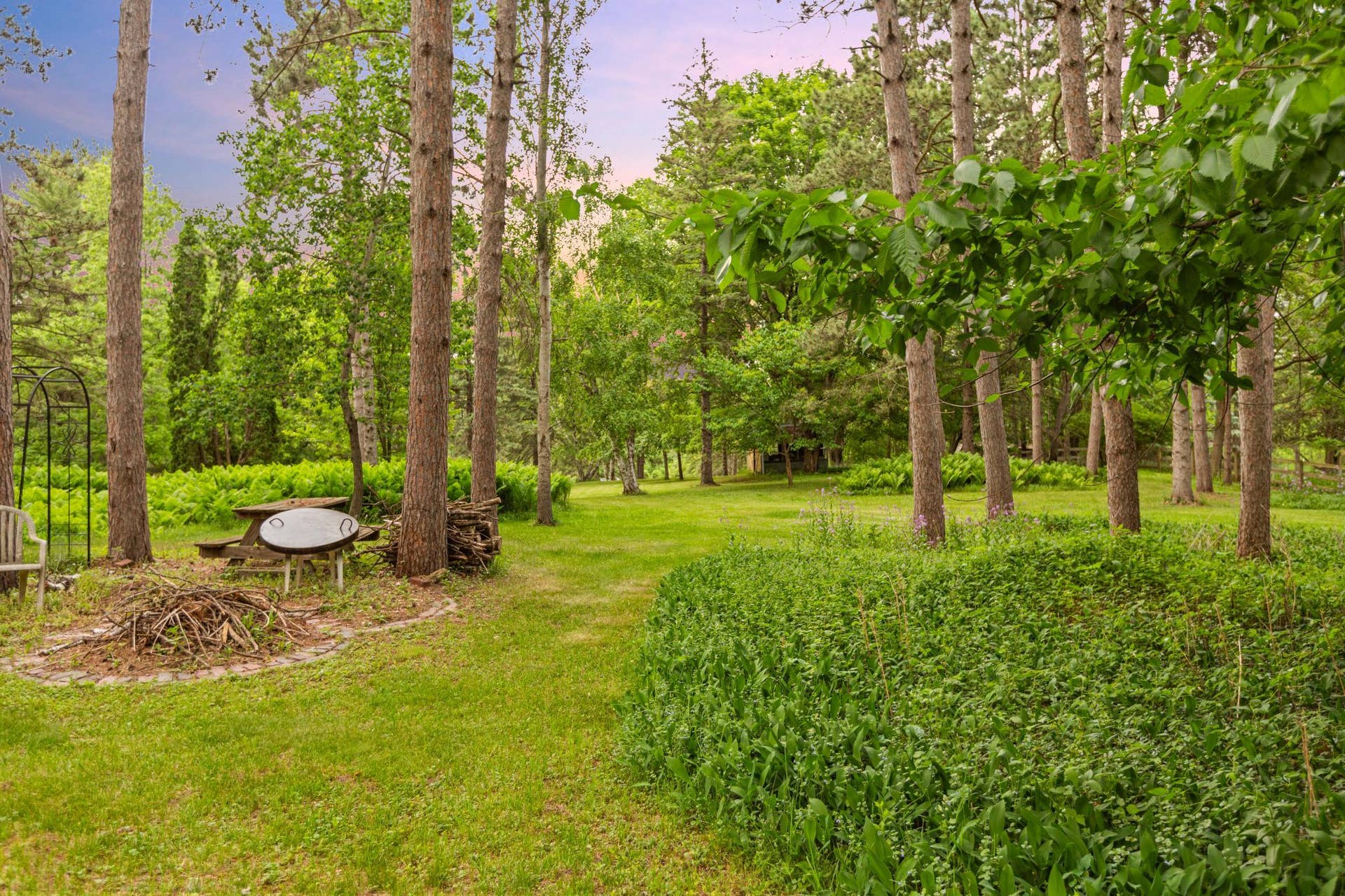 Front yard
