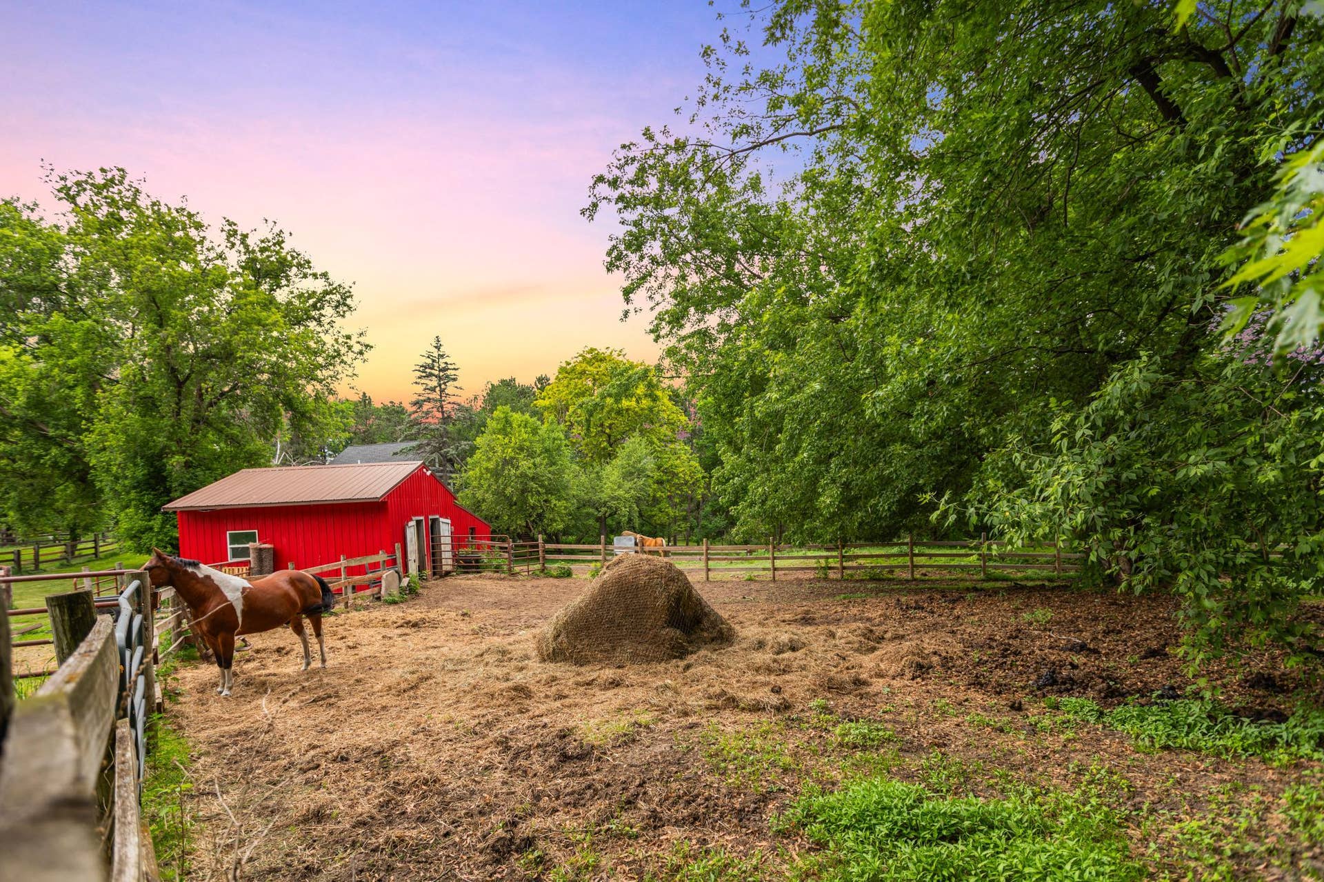 Horse pasture and outbuilding
