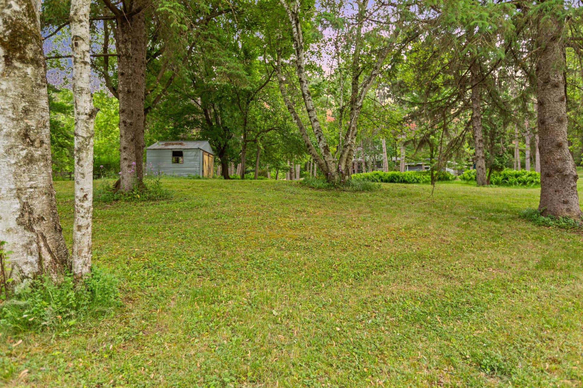 Front yard