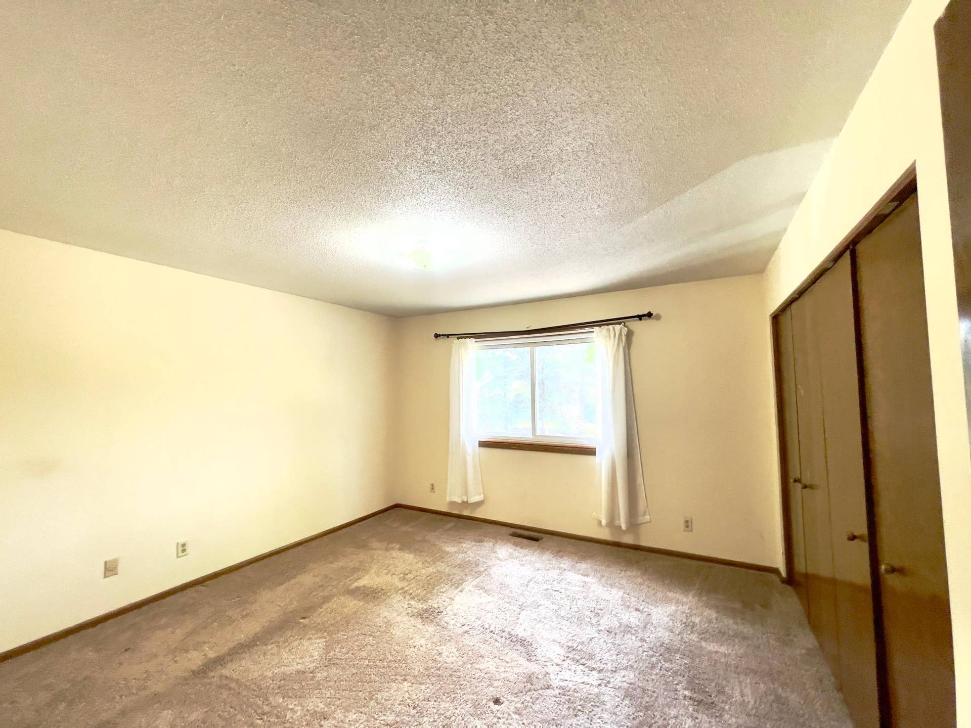 3235 Hamlet Drive, Woodbury, MN 55125 IMG_5989.jpeg