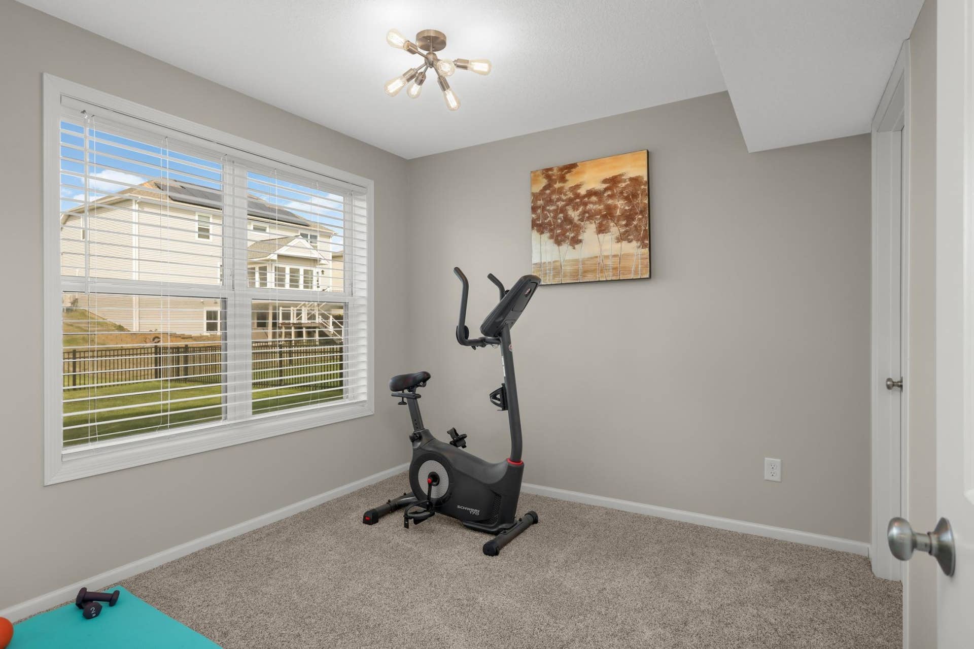 9354 Summerlin Road, Woodbury, MN 55129 5th lower level bedroom