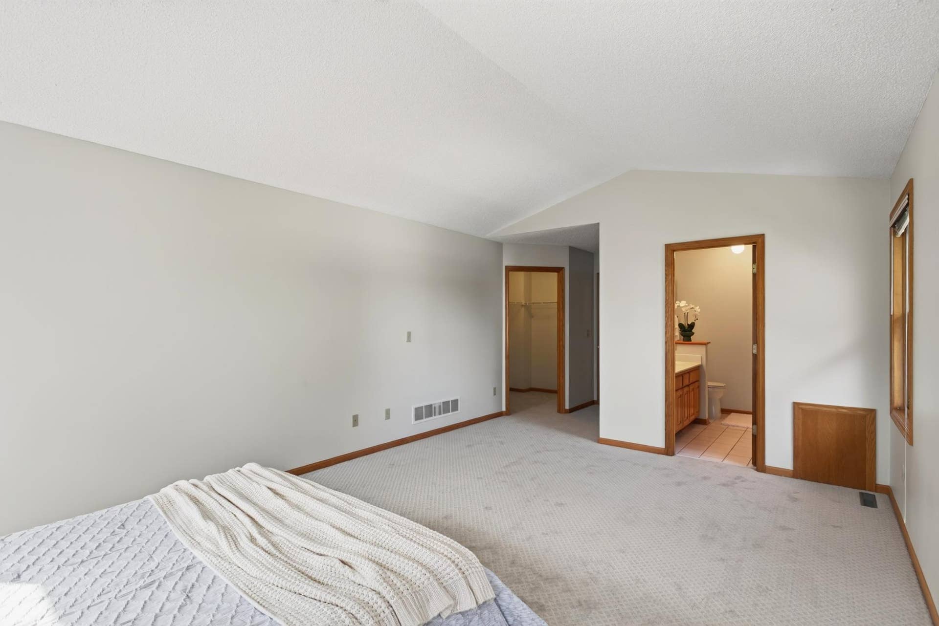 1781 Brighton Trail, Woodbury, MN 55125 Primary Suite