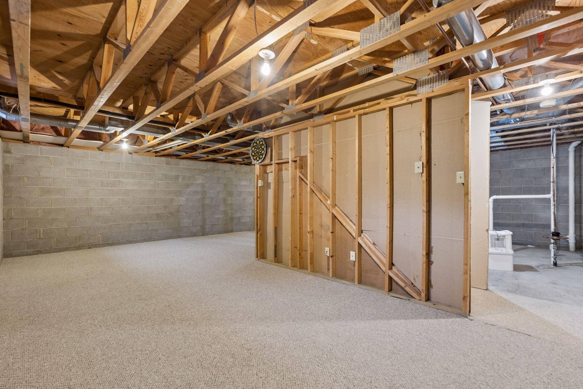 9119 Nantwick Ridge, Brooklyn Park, MN 55443 SO MUCH extra space in the lower level
