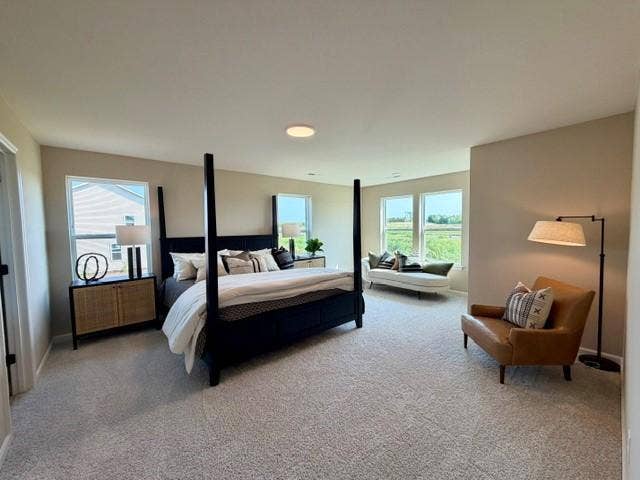 4633 Island Park Drive, Woodbury, MN 55129 Owner's Bedroom with Sitting Area and Staging - 4633 Island Park Drive, Woodbury, MN 55129