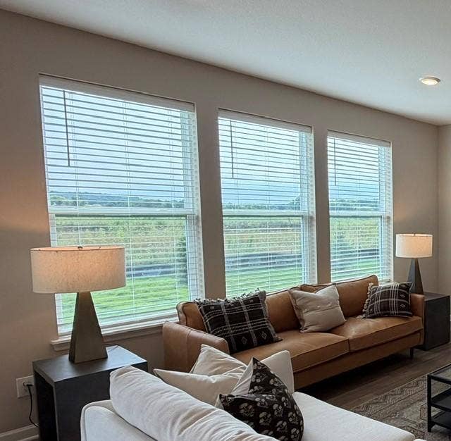 4633 Island Park Drive, Woodbury, MN 55129 Whole House Blinds Included - 4633 Island Park Drive, Woodbury, MN 55129.jpg