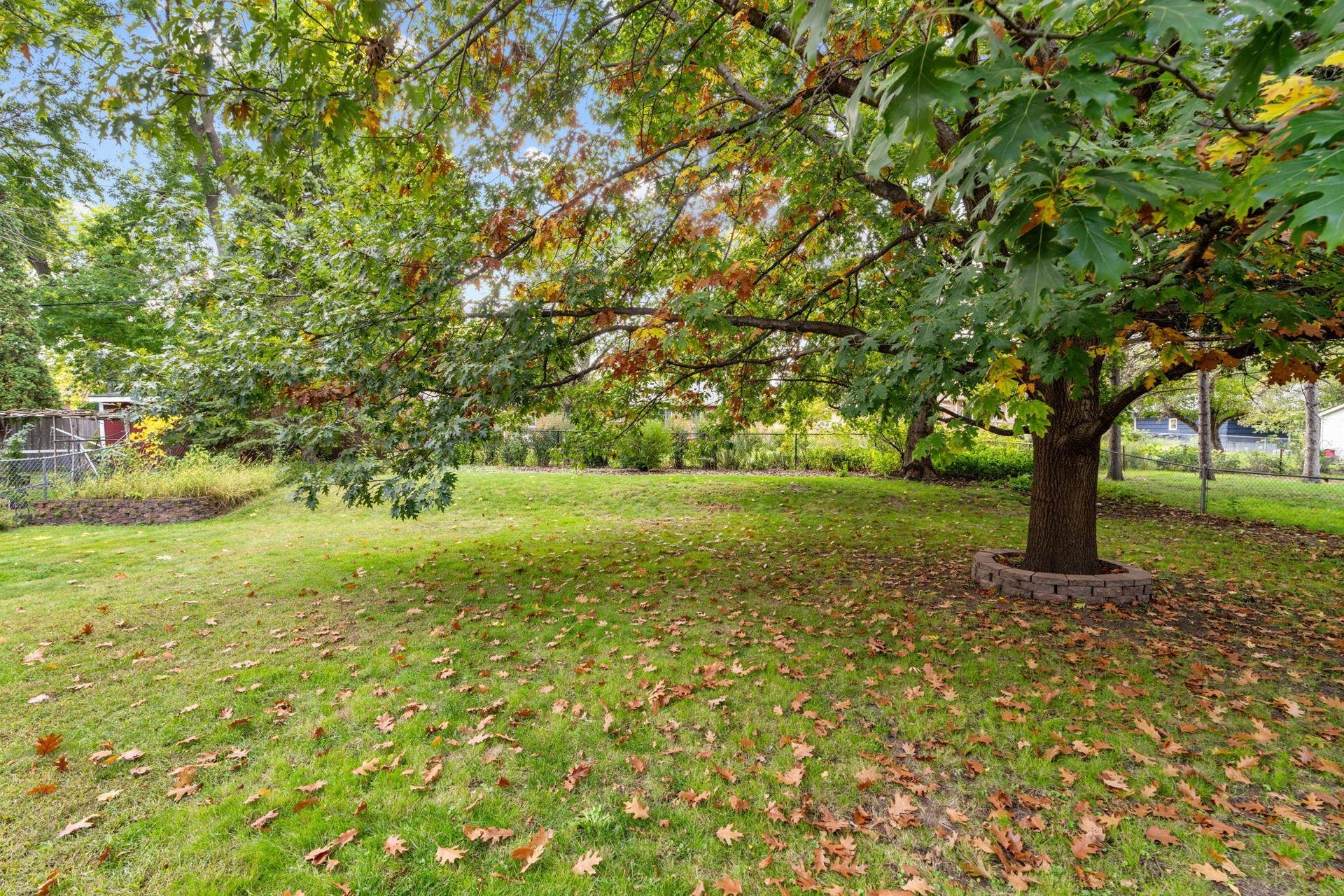 6920 Blaisdell Avenue, Richfield, MN 55423 Backyard