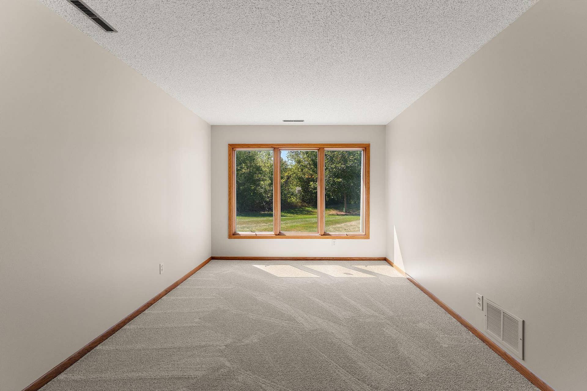 978 Winterberry Drive, Woodbury, MN 55125 Lower bedroom with walk-in closet