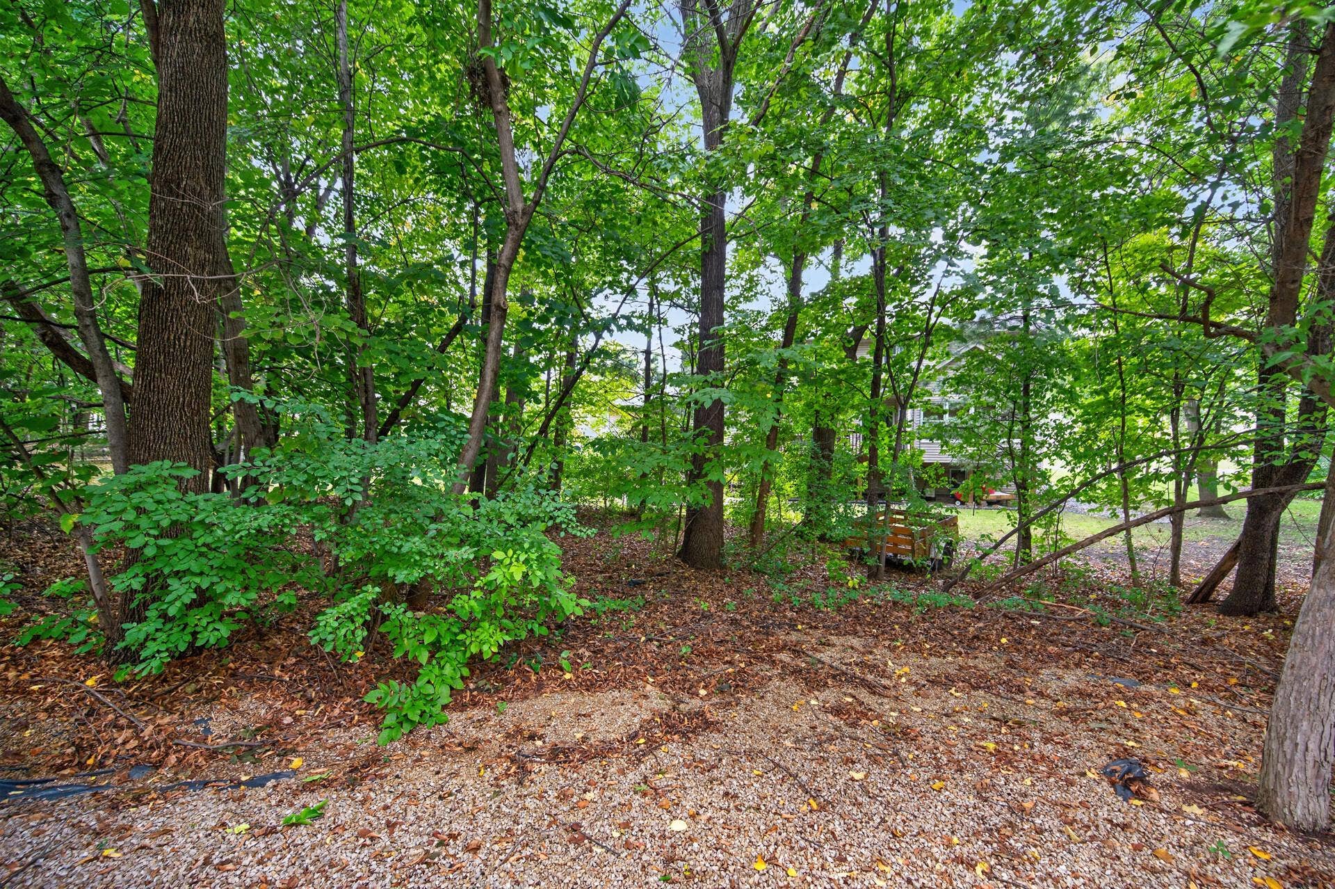 8011 Everest Lane N, Maple Grove, MN 55311 8011 Everest Lane N, Maple Grove, MN 55311
