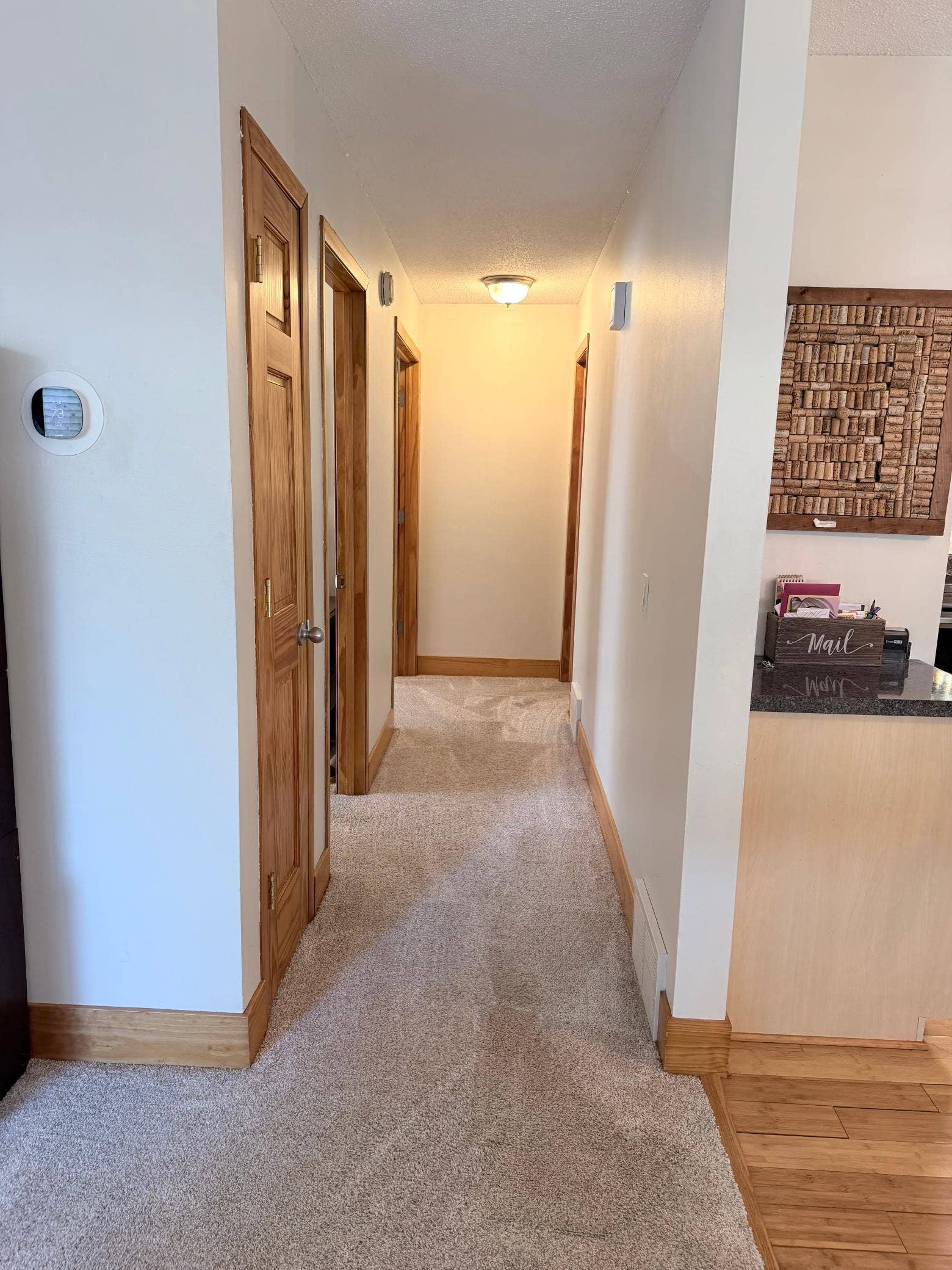 118 Avignon Court, Woodbury, MN 55125 IMG_1284.jpeg