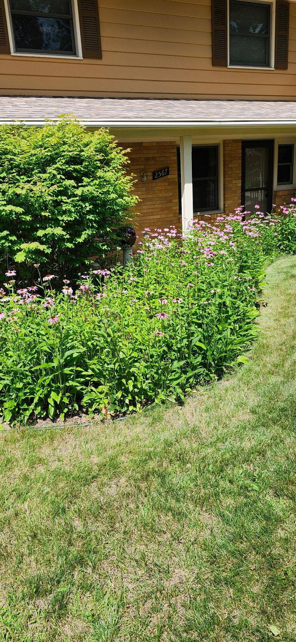 2567 Orchard Lane, White Bear Lake, MN 55110 Front Summer Pic