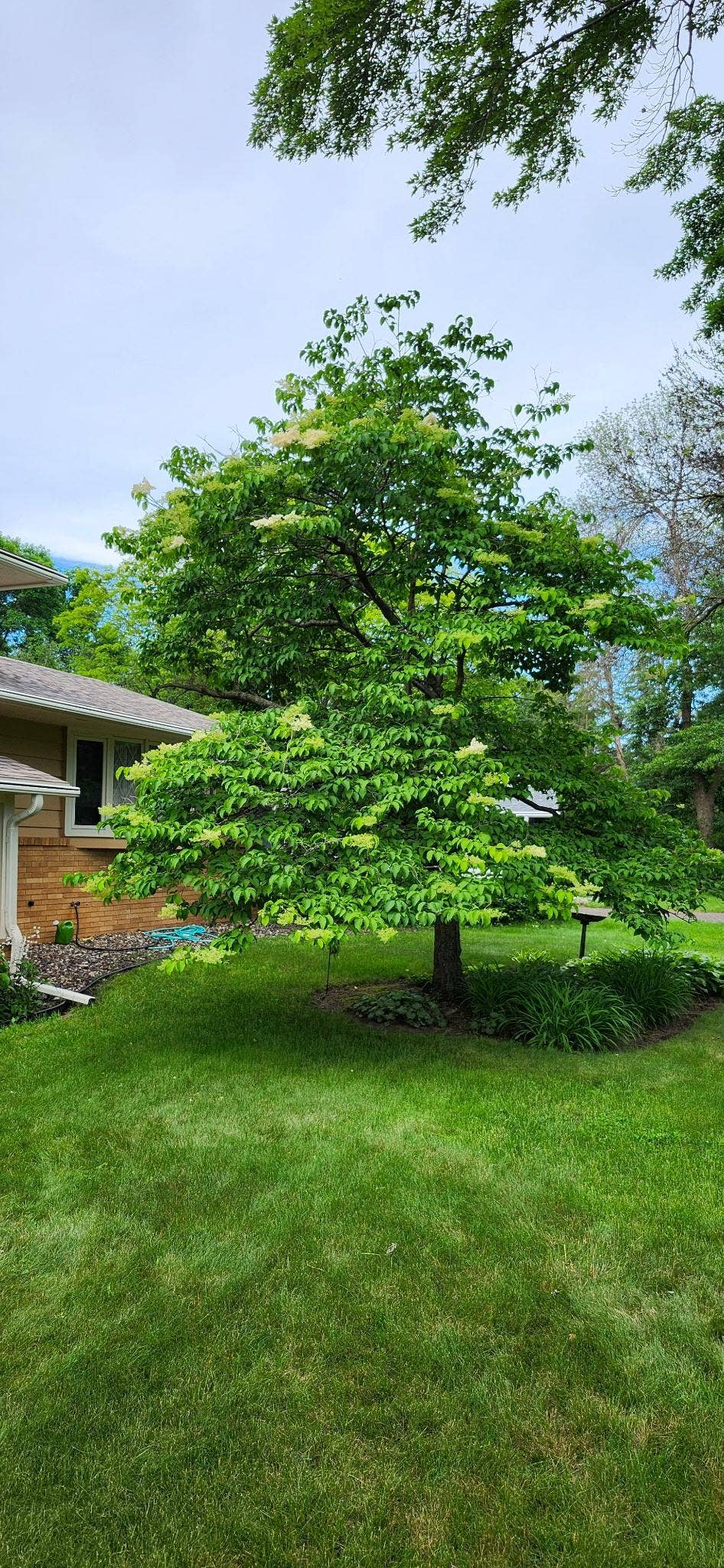2567 Orchard Lane, White Bear Lake, MN 55110 Front Summer Pic