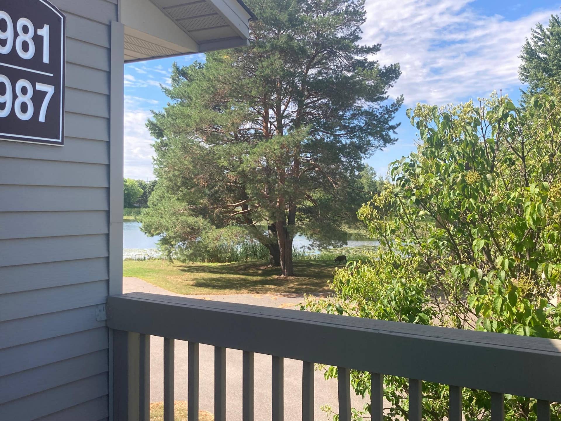 9981 106th Place N, Maple Grove, MN 55369 11) 77067-6aa873a4cb945.jpeg
